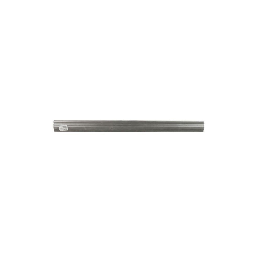 Blic 6505-06-3280017P Rocker Panel For Kia Pregio Van (Tb)