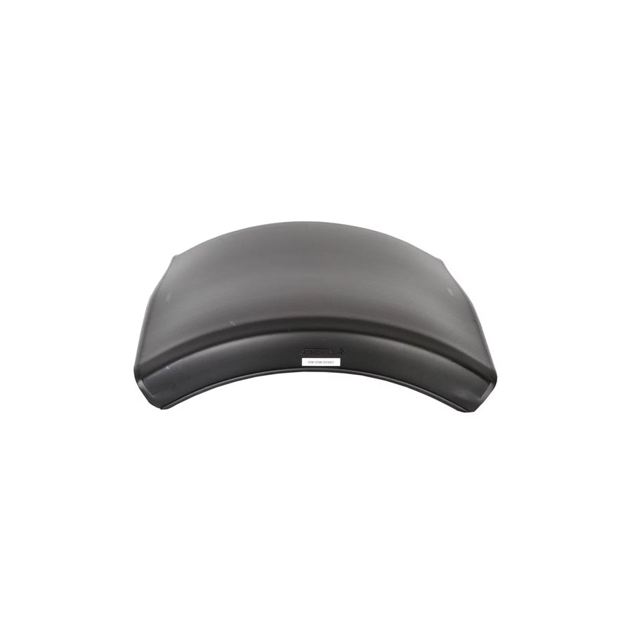 Cargoparts Cargo-Mud-M25 Wing Fender