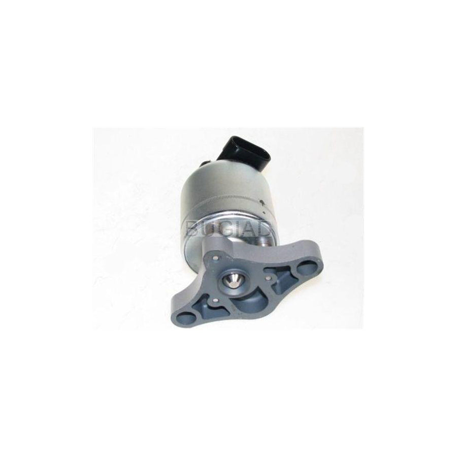 BUGIAD 54016 Egr Valve