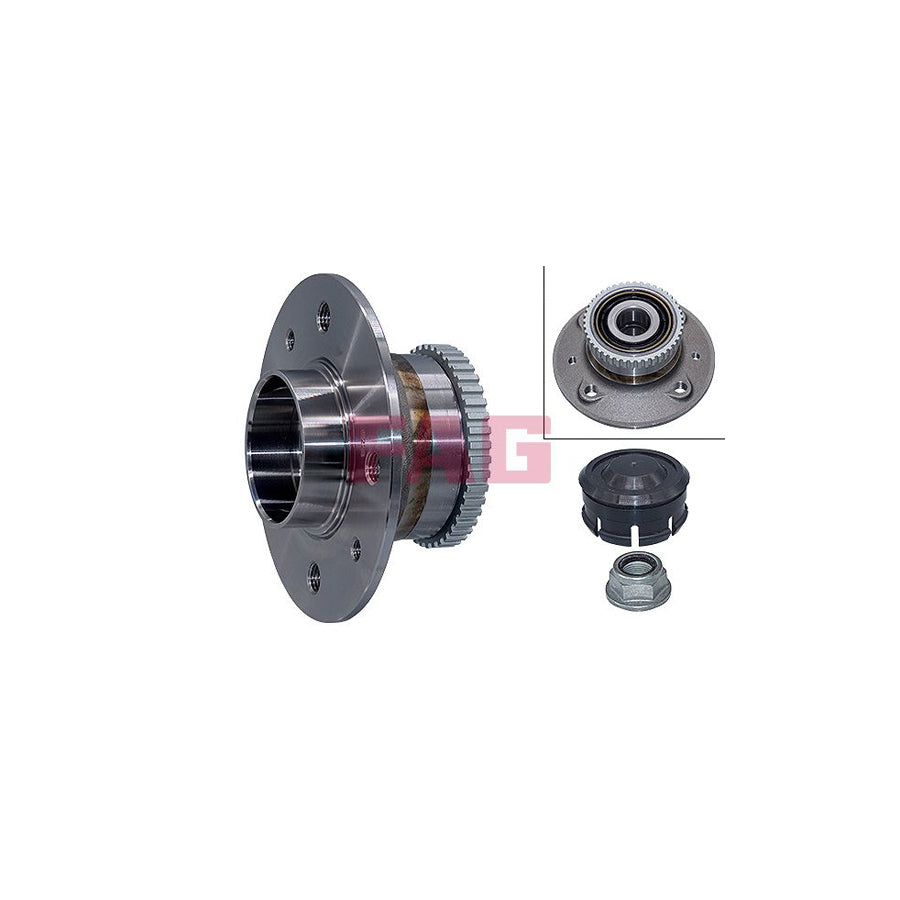 FAG 713 6309 80 Wheel Bearing Kit