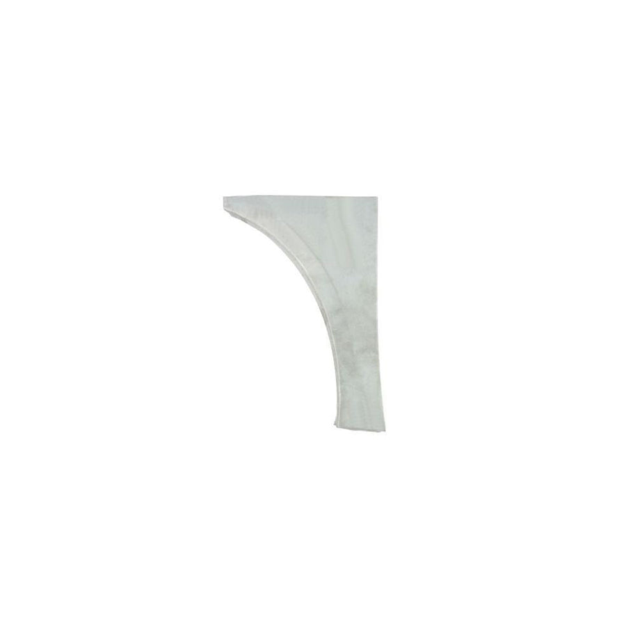 Blic 4747-43-008361P Wing Fender For Skoda Fabia
