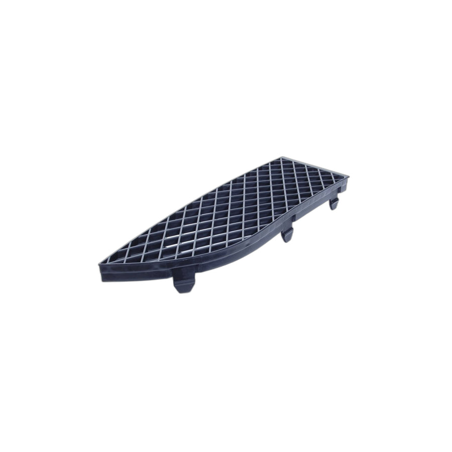 Genuine BMW 51117135564 E65 E67 E66 Grid Lateral Right (Inc. 730Ld, 750Li & 740i) | ML Performance US Car Parts