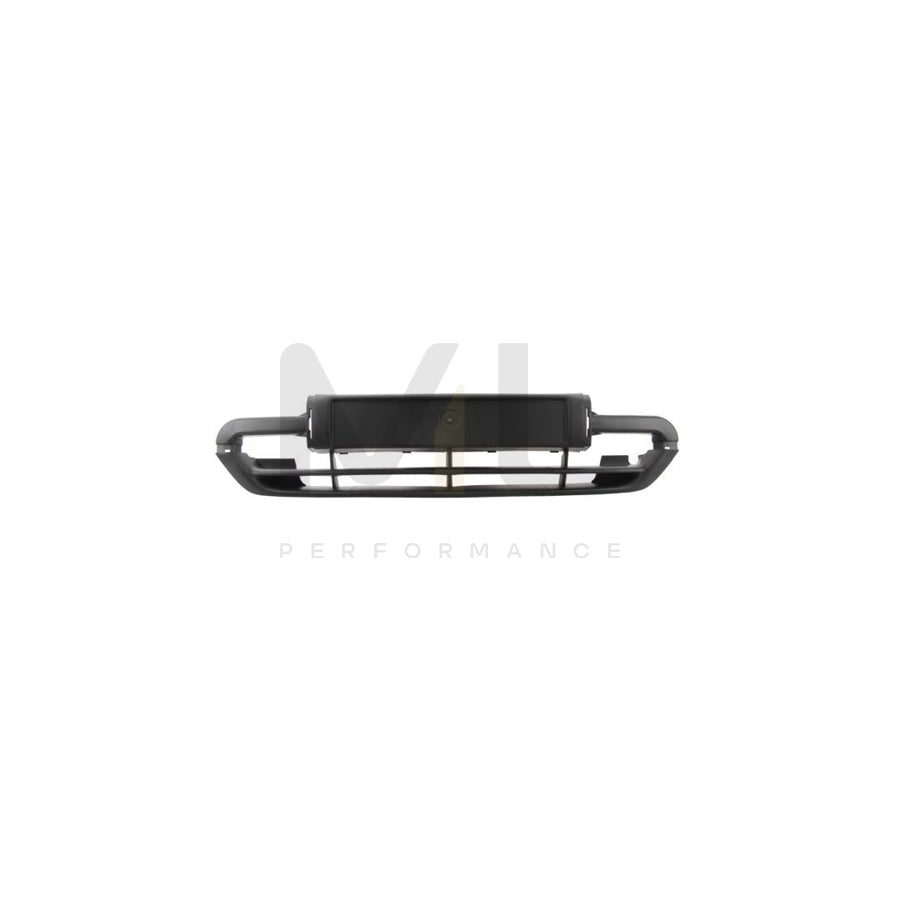 BLIC 6509-01-0535920P Number plate holder for CITROËN XSARA Front, Black, frameless | ML Performance Car Parts