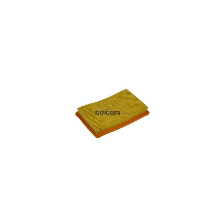 Purflux A1369 Air Filter