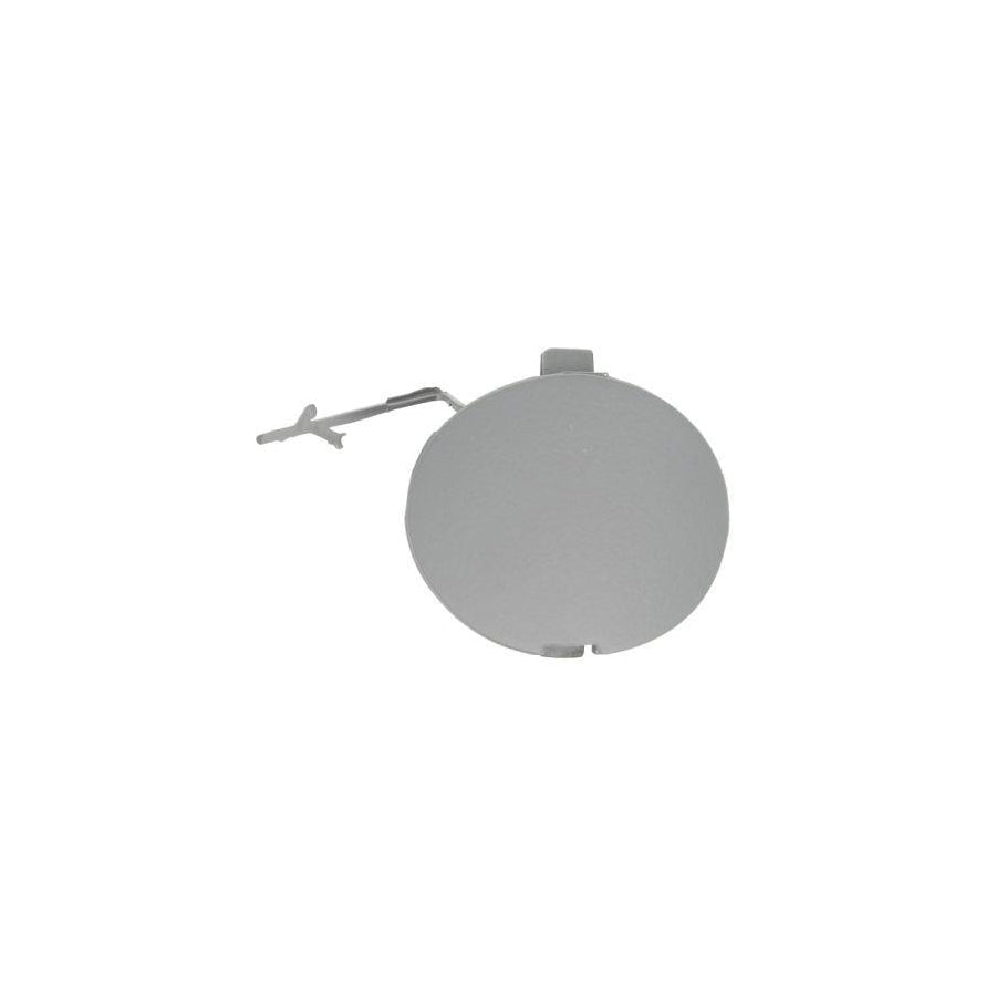 Blic 6003-00-0248P Roller Guide, Sliding Door For Fiat Doblo