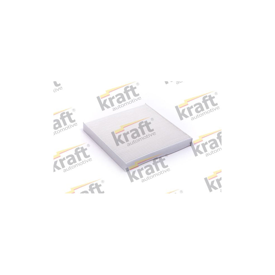 Kraft 1736100 Pollen Filter