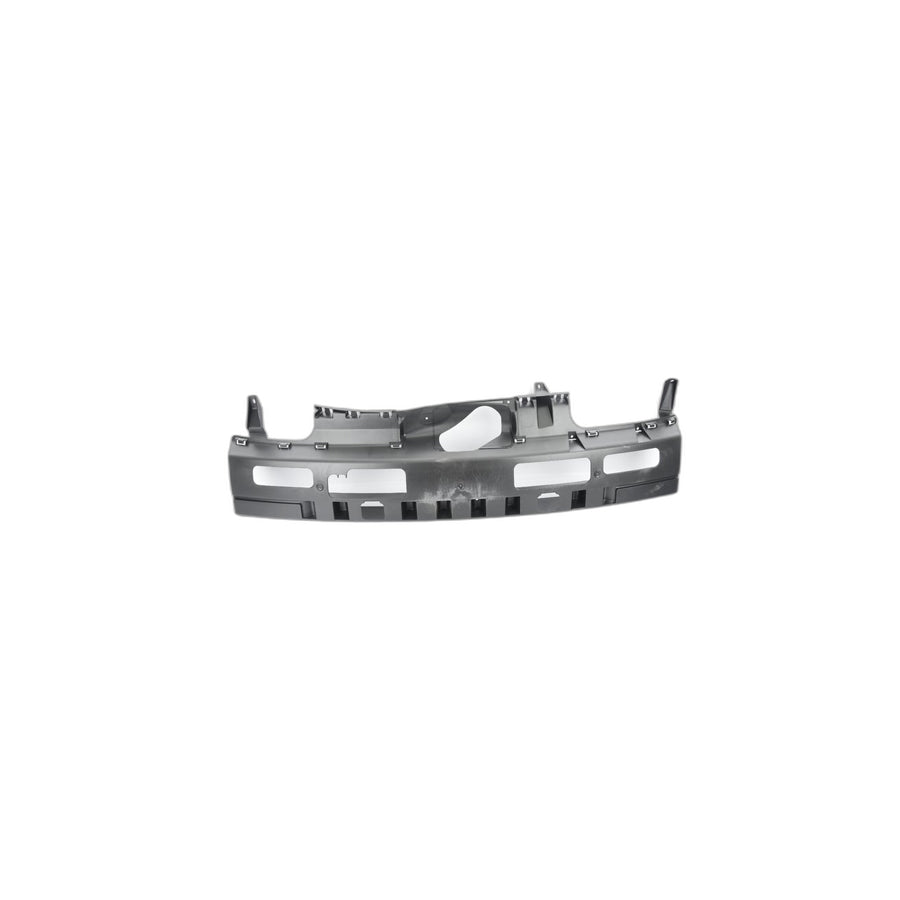 Genuine BMW 51123400942 E83 Insert, Bumper Rear Center (Inc. X3) | ML Performance US Car Parts