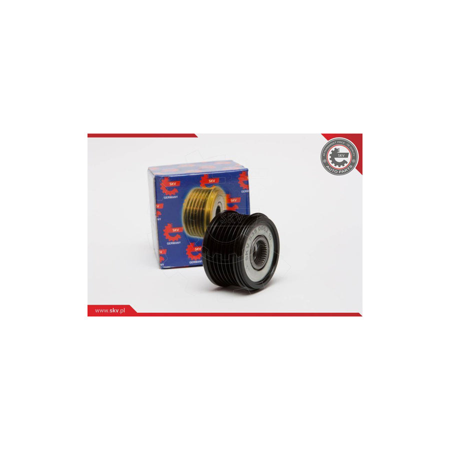 Esen Skv 11SKV031 Alternator Freewheel Clutch