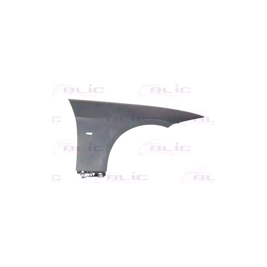 Blic 6504-04-0062314P Wing Fender For BMW 3 Series