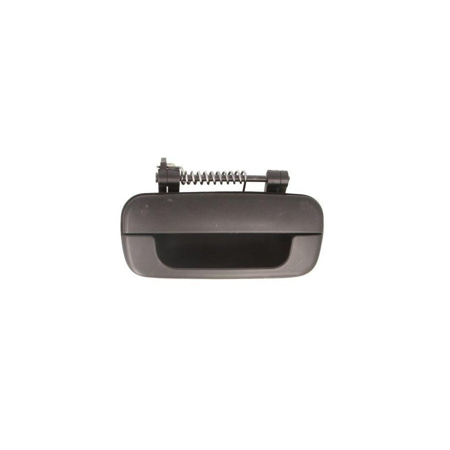 Blic 6010-08-010404P Door Handle For Peugeot 406