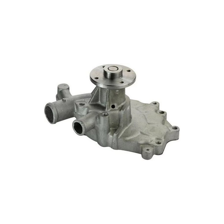 Denckermann A310202P Water Pump