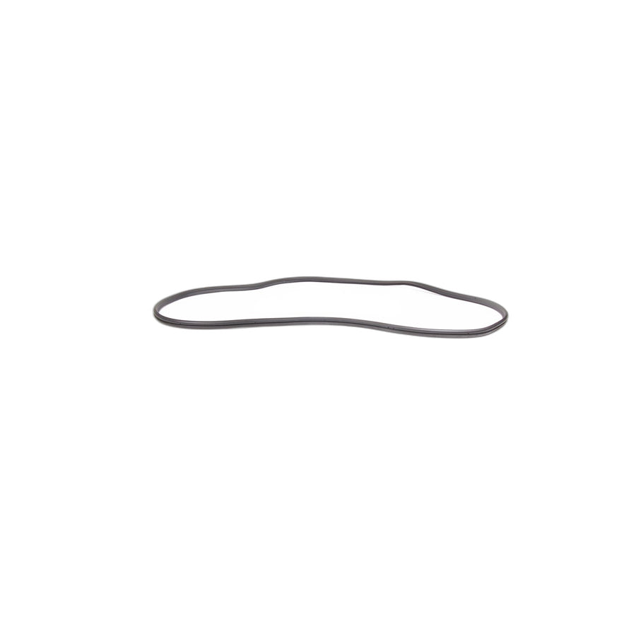 Genuine BMW 51718403231 E53 Trunk Lid Sealing (Inc. X5 4.4i, X5 4.6is & X5 3.0d) | ML Performance UK Car Parts