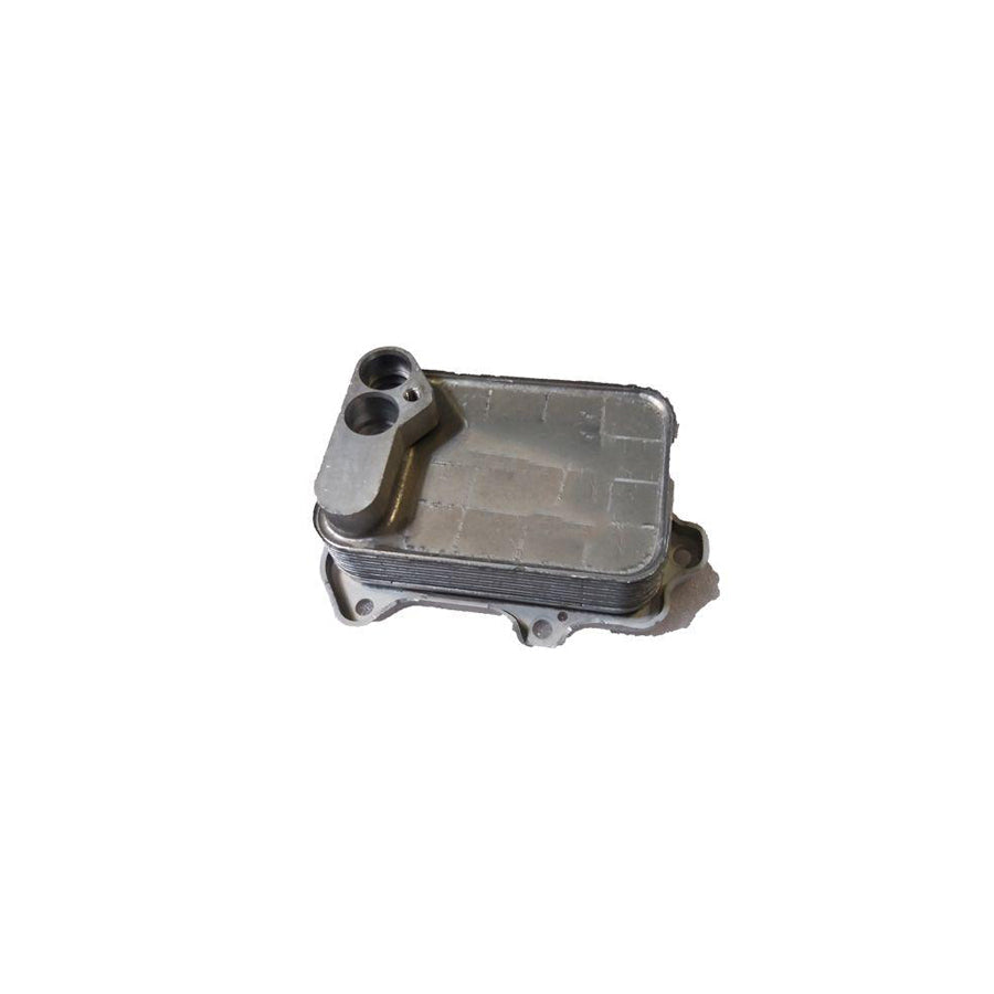 BUGIAD Bsp24971 Engine Oil Cooler