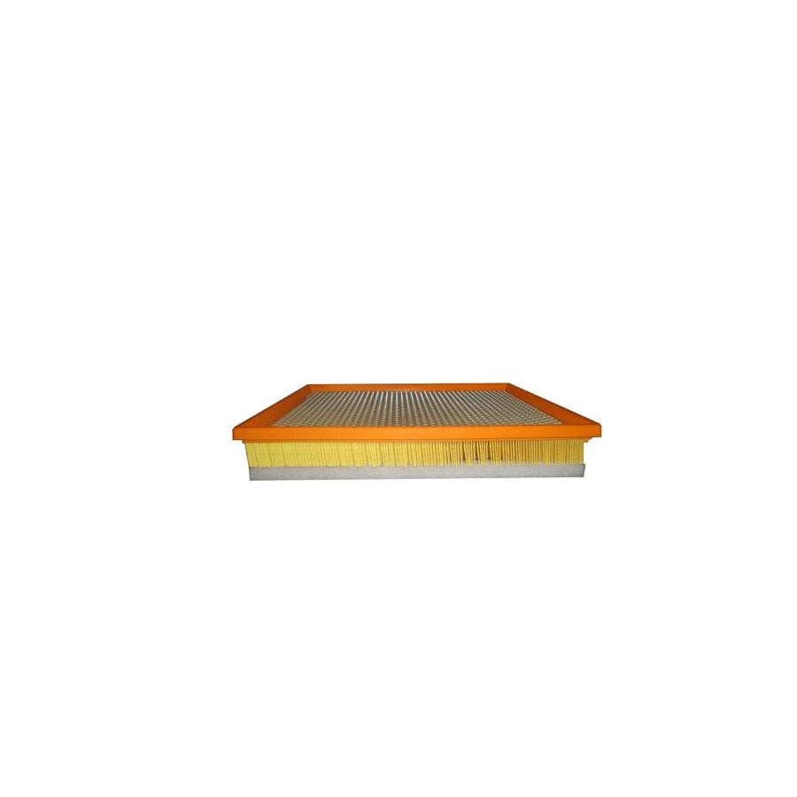 Fleetguard Af27960 Air Filter
