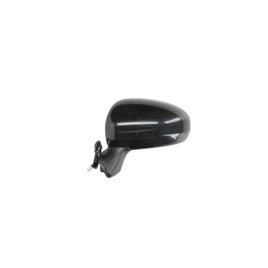 Blic 5402-19-2002507P Wing Mirror For Toyota Prius