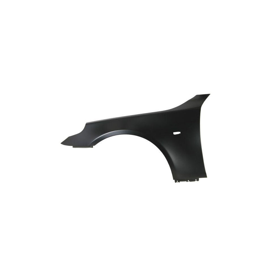 Blic 6504-04-0066313P Wing Fender For BMW 5 Series