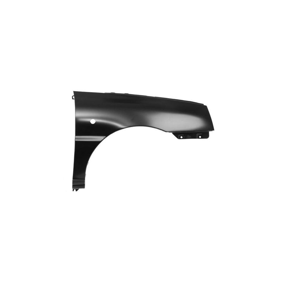 Blic 6504-04-3276316P Wing Fender For Kia Rio