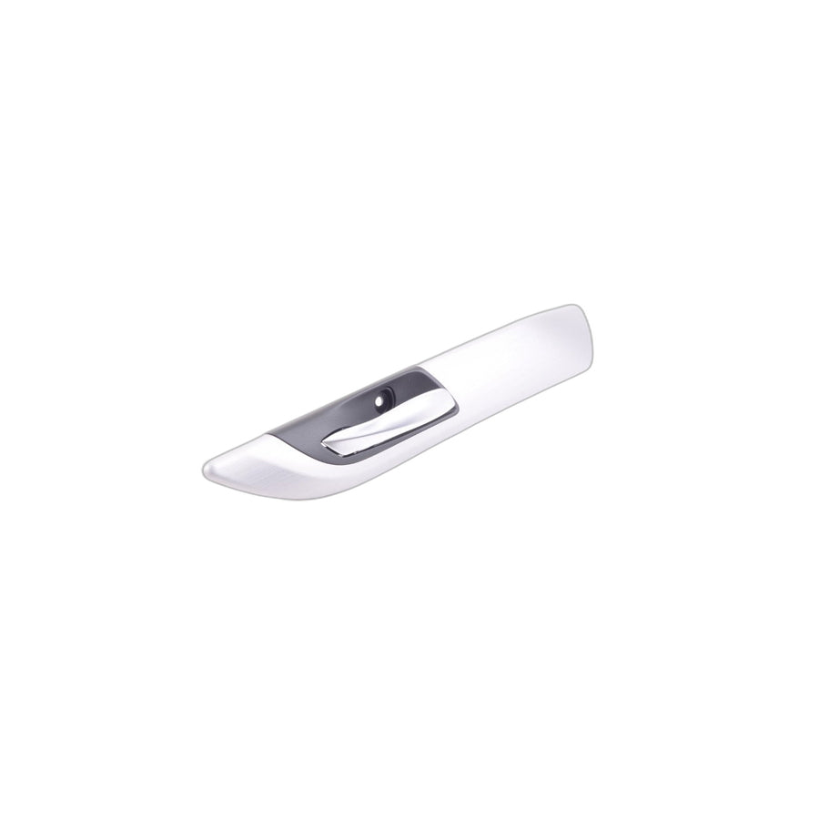 Genuine BMW 51419167031 E89 Door Handle, Alu Linear Brushed, Left (Inc. Z4) | ML Performance US Car Parts