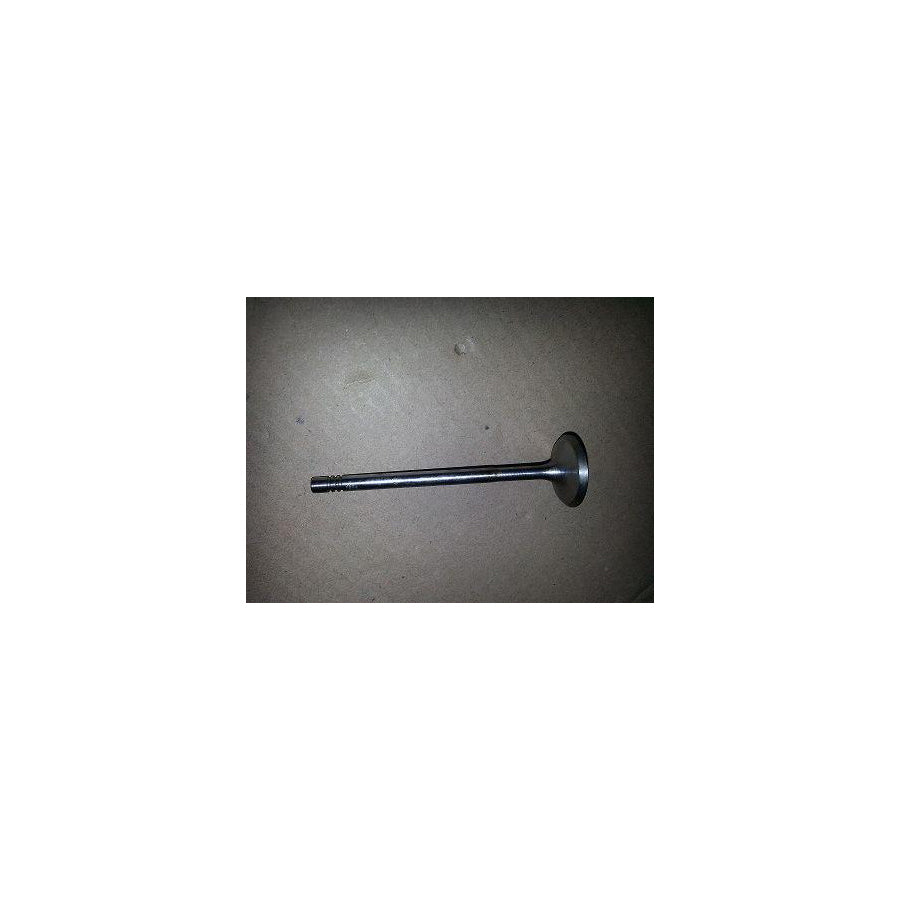 BUGIAD Bsp21183 Inlet Valve