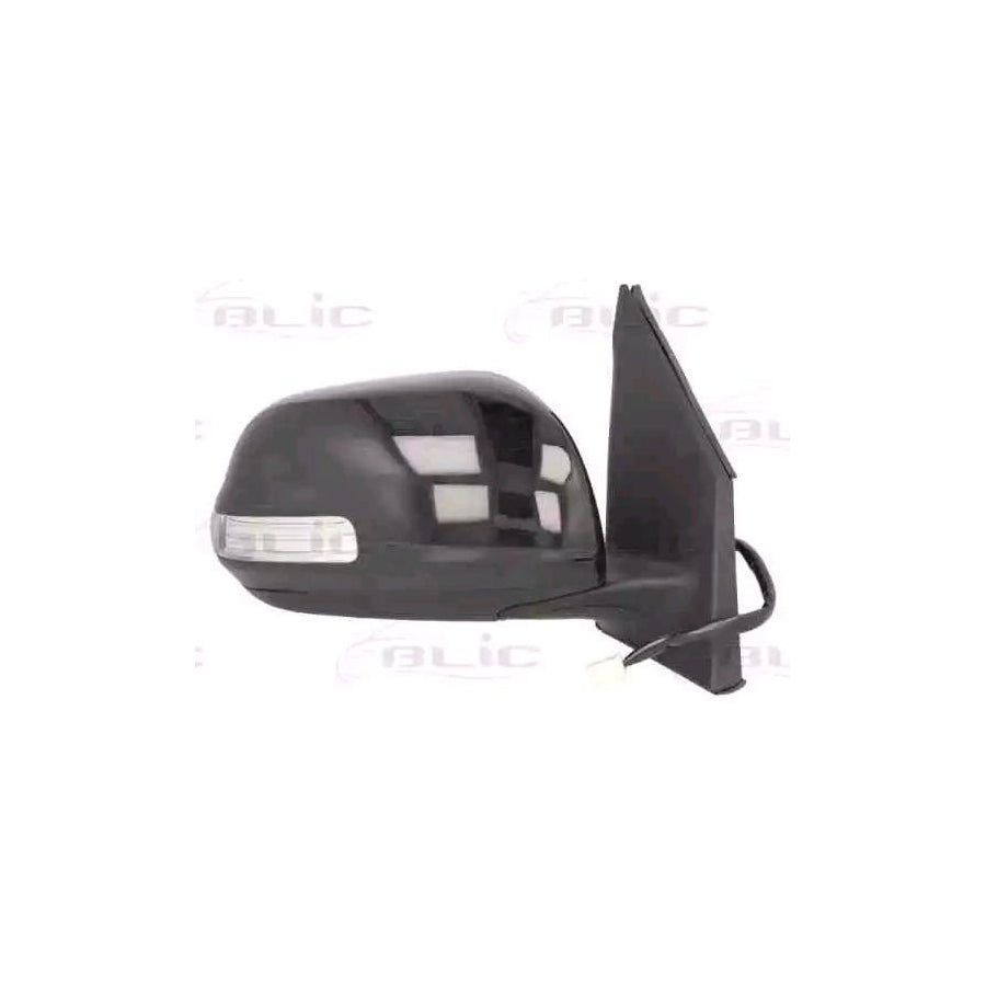 Blic 5402-19-2002530P Wing Mirror For Toyota Rav4 III Off-Road (Xa30)