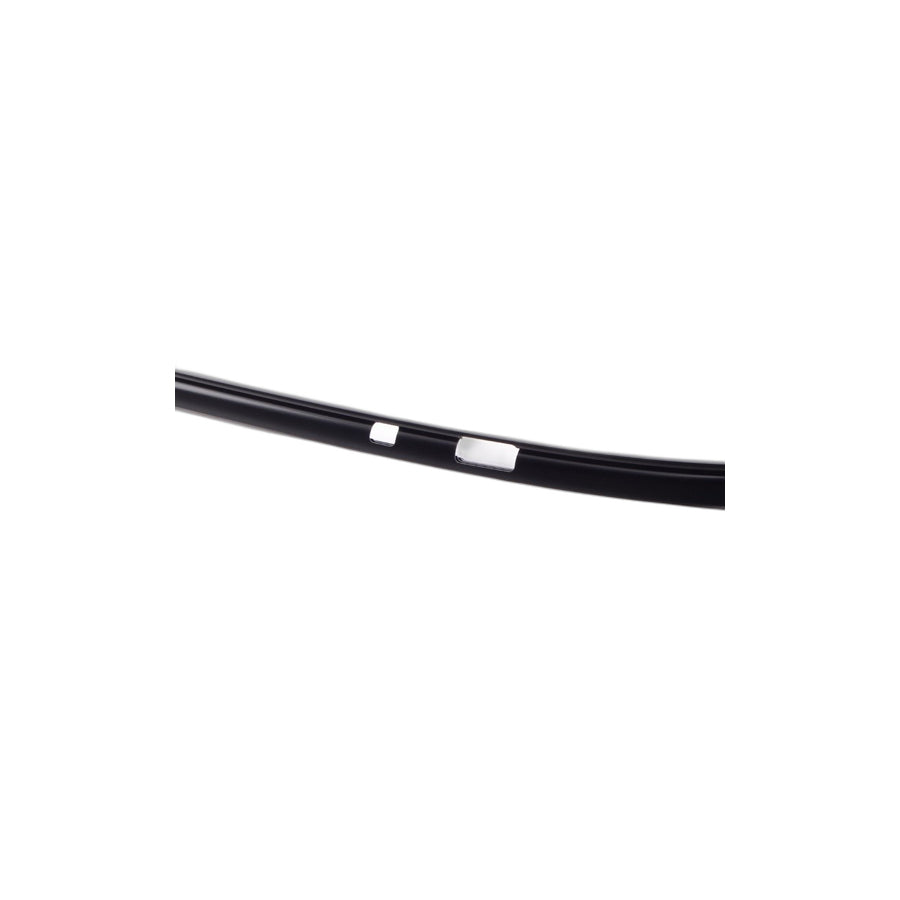 Genuine BMW 51137230375 E70 Roof Molding Left SCHWARZ (Inc. X5) | ML Performance US Car Parts