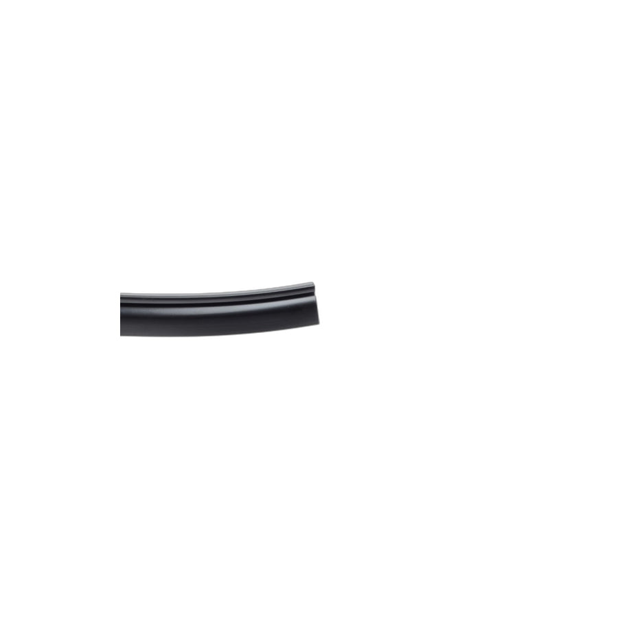 Genuine BMW 51137230373 E70 Roof Molding Left SCHWARZ (Inc. X5) | ML Performance US Car Parts