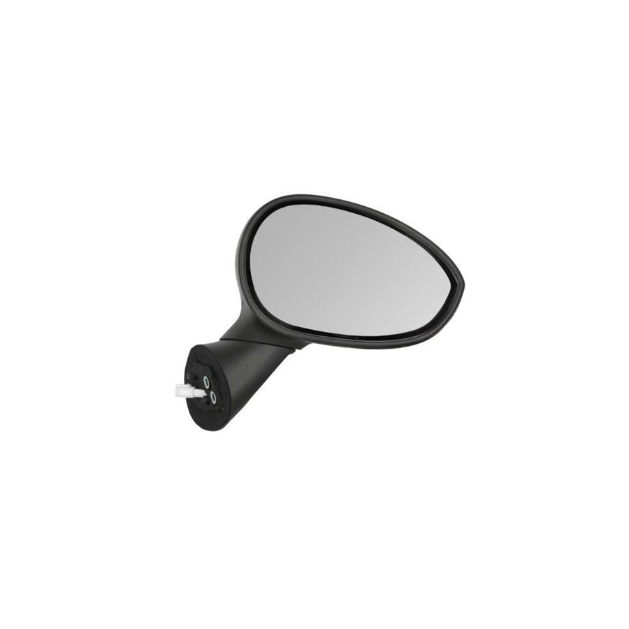 Blic 5402-04-1121932P Wing Mirror