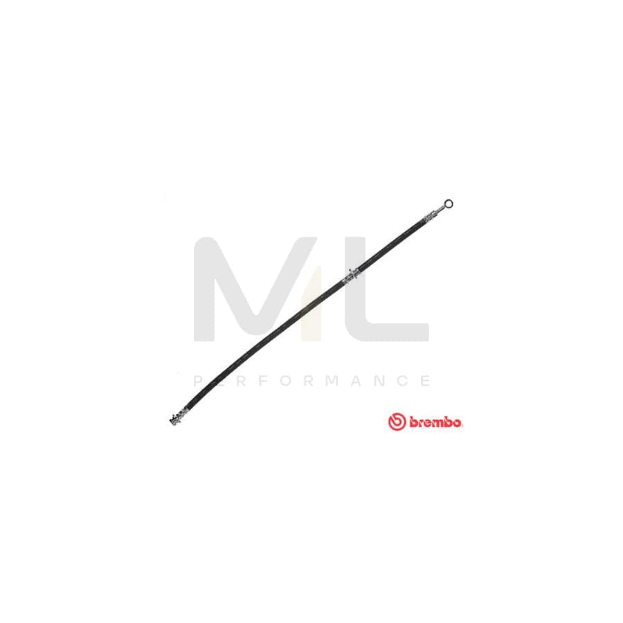 BREMBO T 56 151 Brake Hose for NISSAN PRIMERA 595mm, F10X1 | ML Performance Car Parts