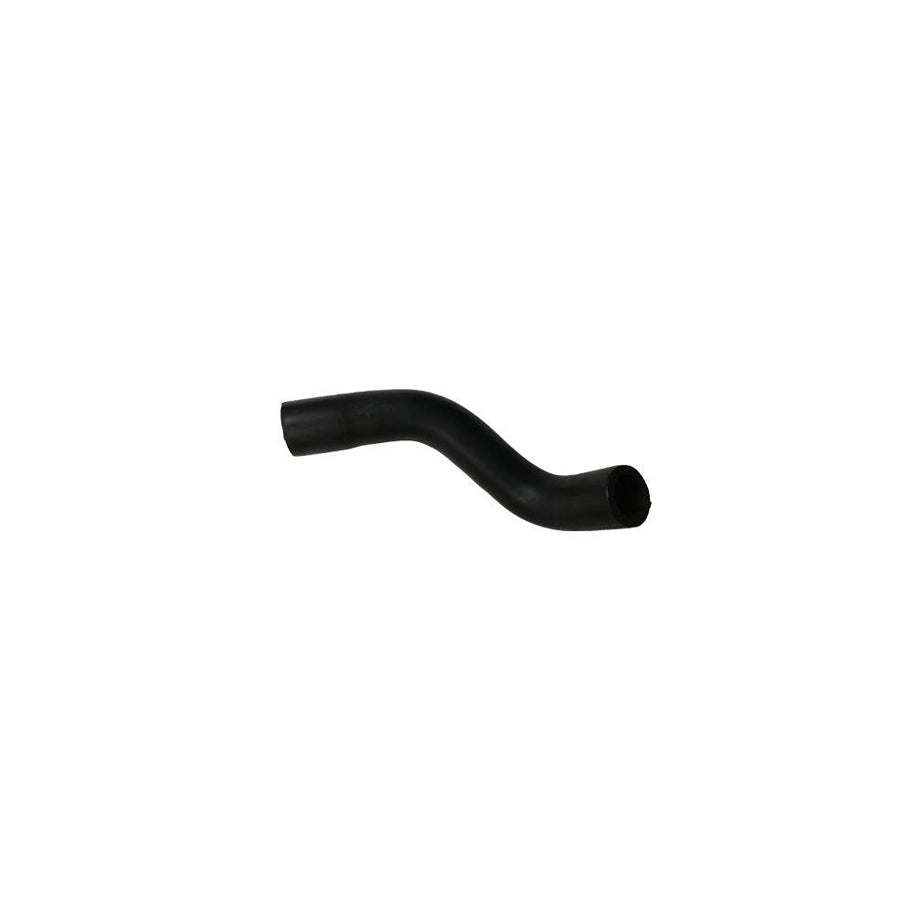 BUGIAD Bsp25021 Oil Hose