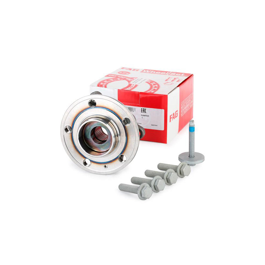 FAG 713 6602 10 Wheel Bearing Kit