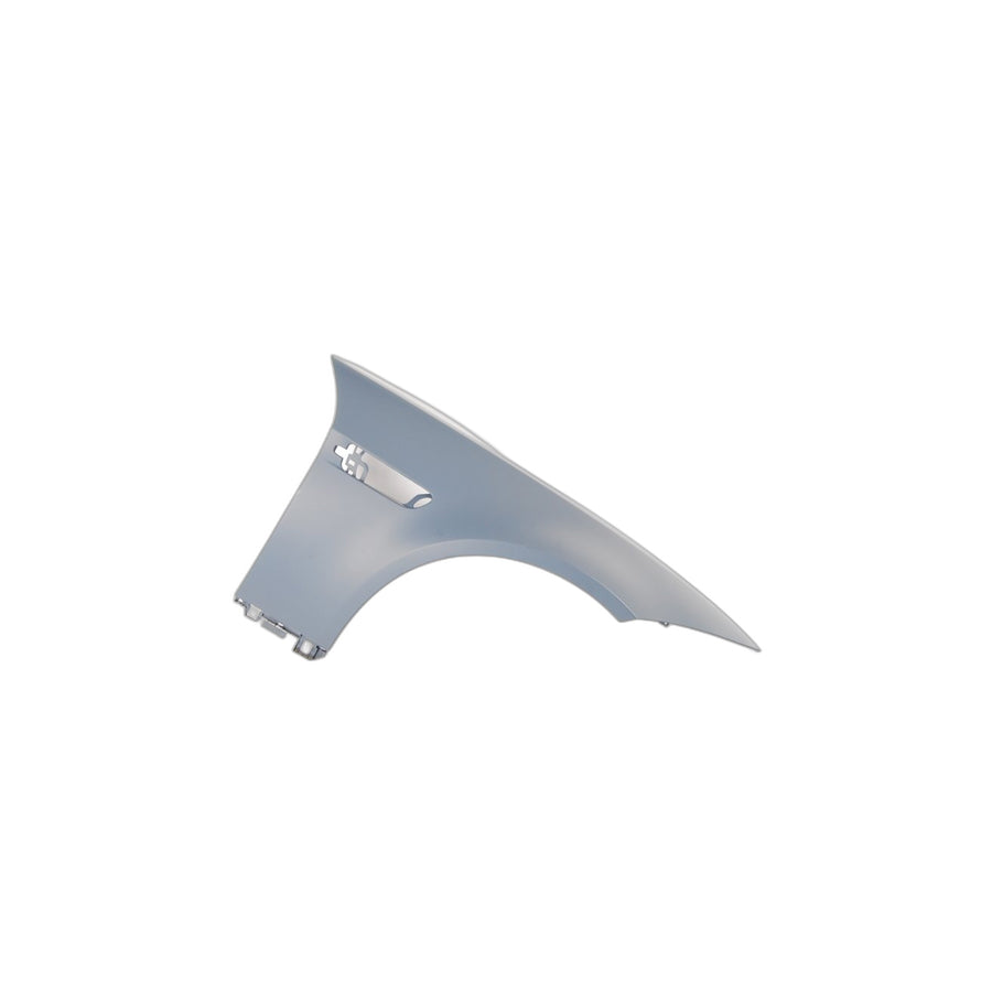 Genuine BMW 41008042024 E90 Side Panel, Front Right (Inc. M3)