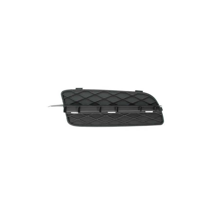 Blic 6502-07-0096996P Bumper Grill For BMW X5 (E70)