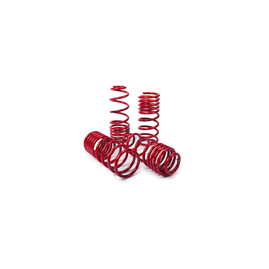 MTS Technik BMW Performance Springs - MTSXBM330 Lowering Springs - Set