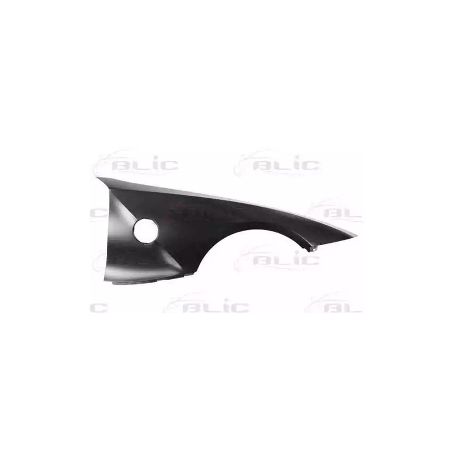 Blic 6504-04-0089312P Wing Fender For BMW Z4