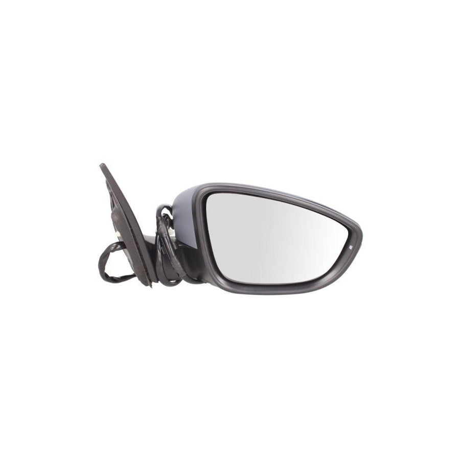 Blic 5402-01-2002594P Wing Mirror For VW Eos (1F7, 1F8)
