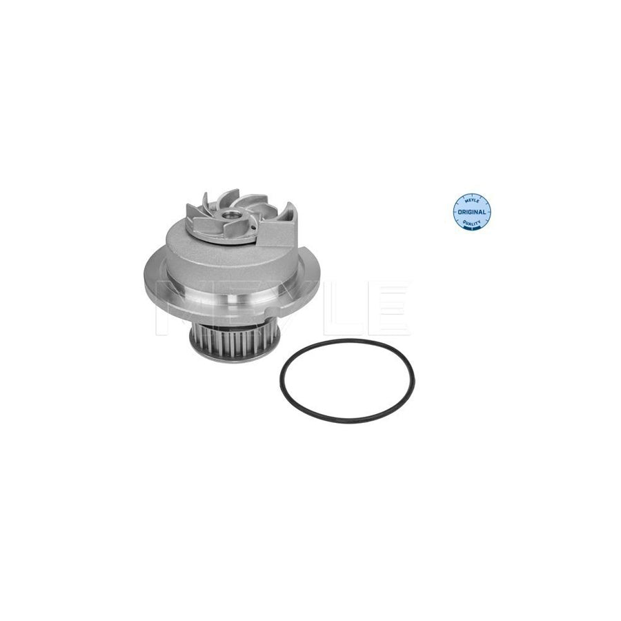 Meyle 613 600 4135 Water Pump