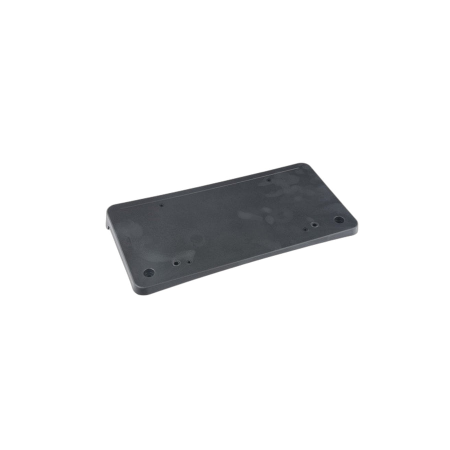 Genuine BMW 51117331726 F10 F11 Licence Plate Base (Inc. 535dX, 525d & 535d) | ML Performance US Car Parts