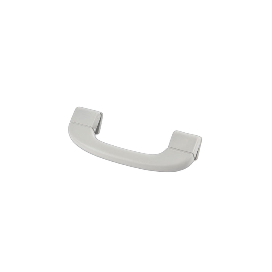 Genuine BMW 51166977703 E70 Handle HImmELGRAU (Inc. X5) | ML Performance US Car Parts