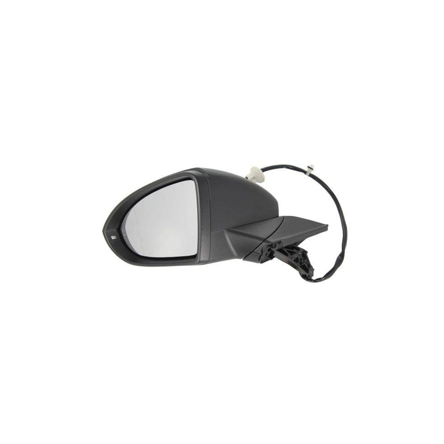 Blic 5402-01-2002641P Wing Mirror For VW Golf