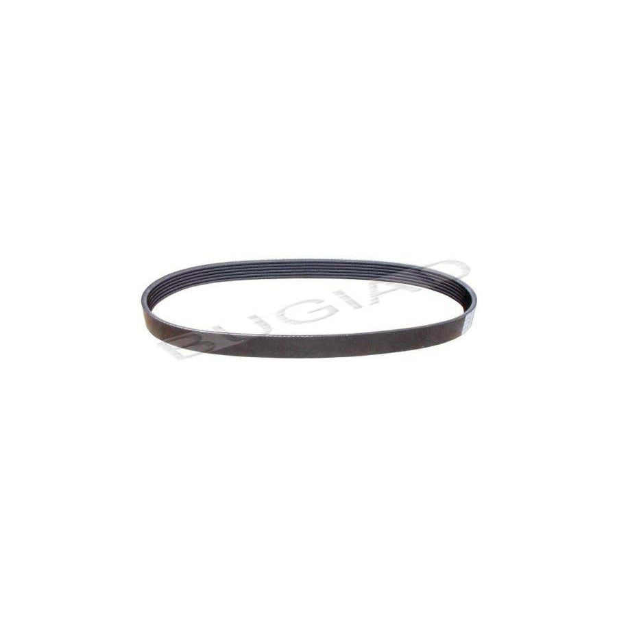 BUGIAD Bsp21327 V-Ribbed Belt