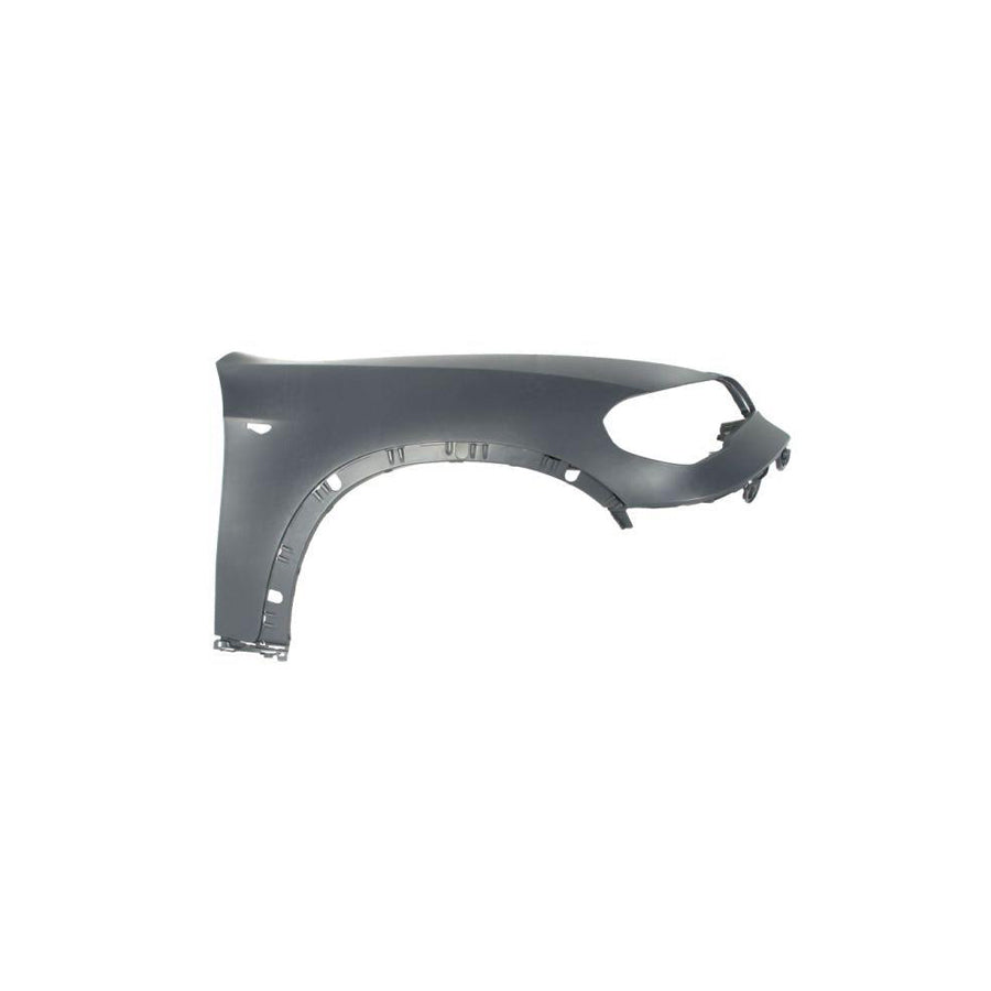 Blic 6504-04-0096316P Wing Fender For BMW X5 (E70)