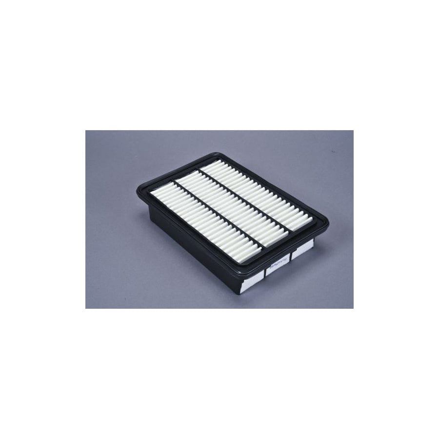 Automega 180072310 Air Filter For Hyundai Santa Fe Ii (Cm)