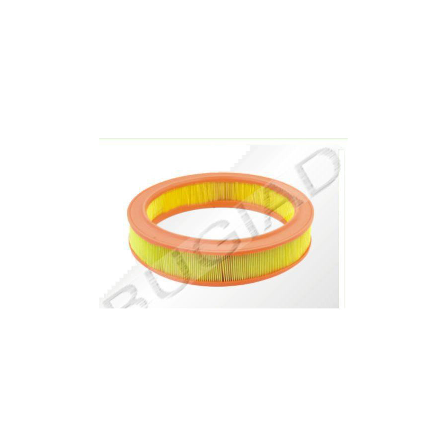 BUGIAD Bsp21310 Air Filter