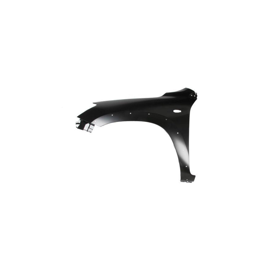 Blic 6504-04-8179313P Wing Fender For Toyota Rav4 III Off-Road (Xa30)