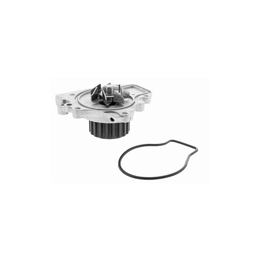 Ackoja A26-50015 Water Pump | ML Performance US