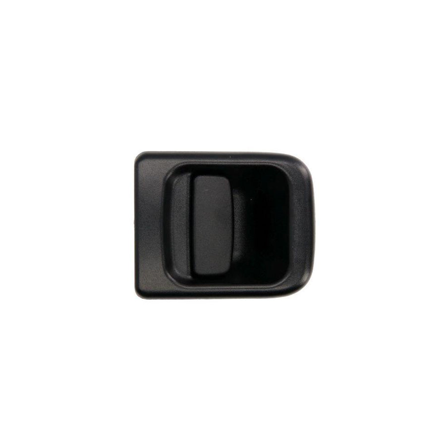 Blic 6010-09-032402Pp Door Handle