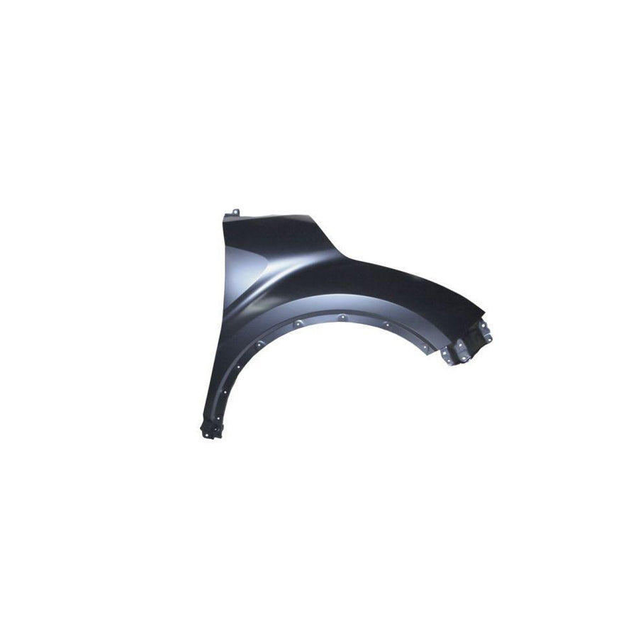 Blic 6504-04-8182312P Wing Fender For Toyota C-Hr (Ax10)