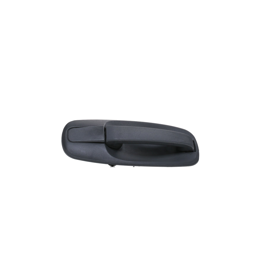 Blic 6010-09-041417P Door Handle