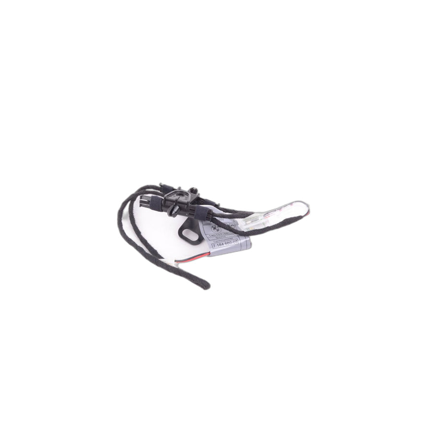 Genuine BMW 63177184660 E71 E70 Door Handle Light, Front Right (Inc. X5) | ML Performance US Car Parts