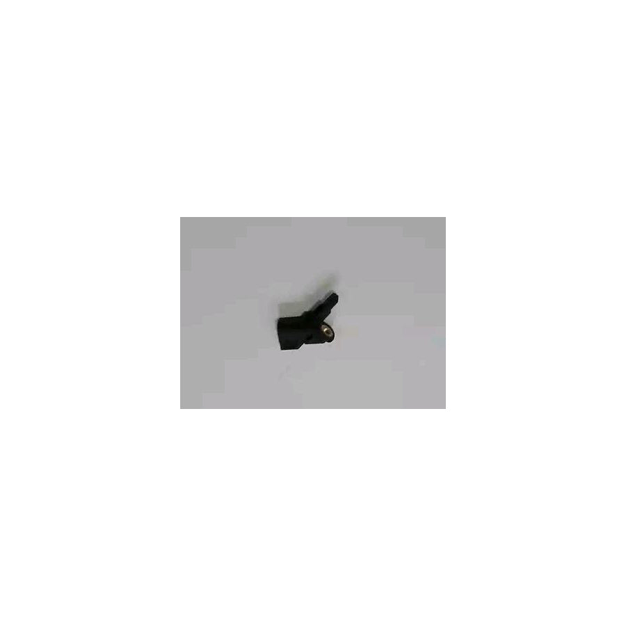 BUGIAD 73067 Abs Sensor